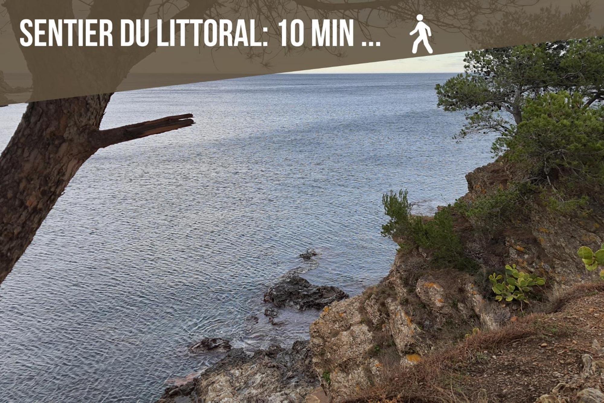 L'Escapade, Port A 200M, Climatisation Et Balcon Leilighet Port Vendres Eksteriør bilde